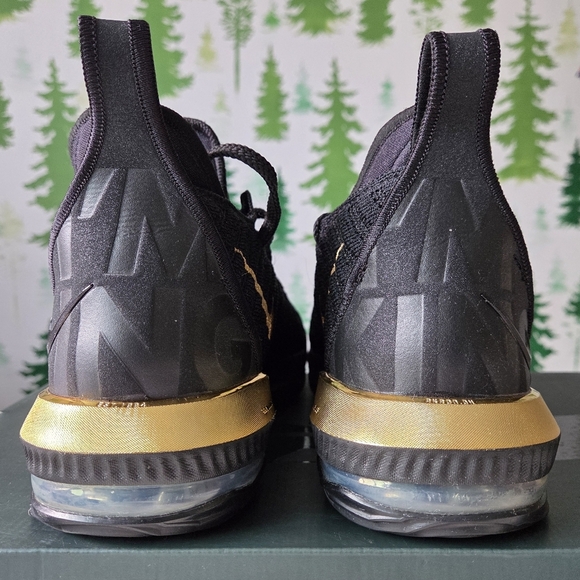 Nike LeBron XVI ‘I’m King’ Basketball Shoes